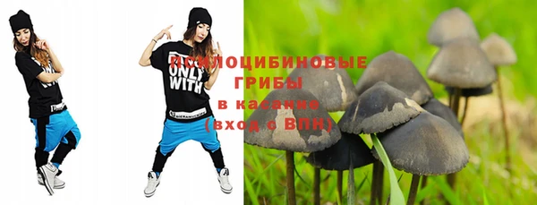 СК Горнозаводск
