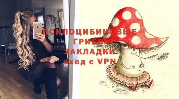 первитин Горняк