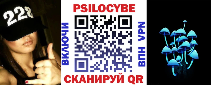 Купить  Новосиль  Галлюциногенные грибы GOLDEN TEACHER 