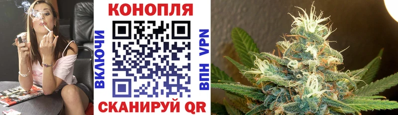 Каннабис Ganja  Купить закладки  Новосиль 